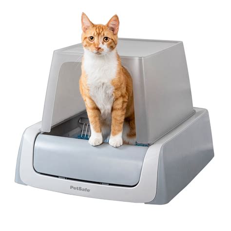 electric litter box and kittens|self scooping litter box.